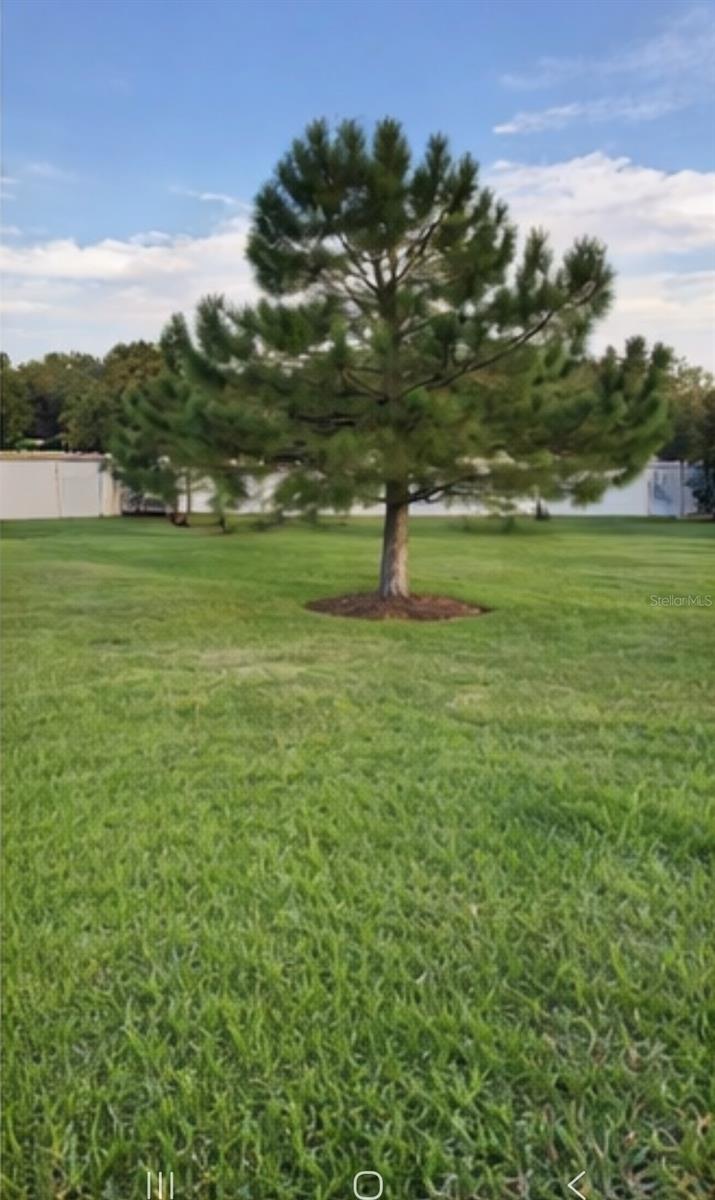 Image 28 of 30 For 2741 Foxfire Court D