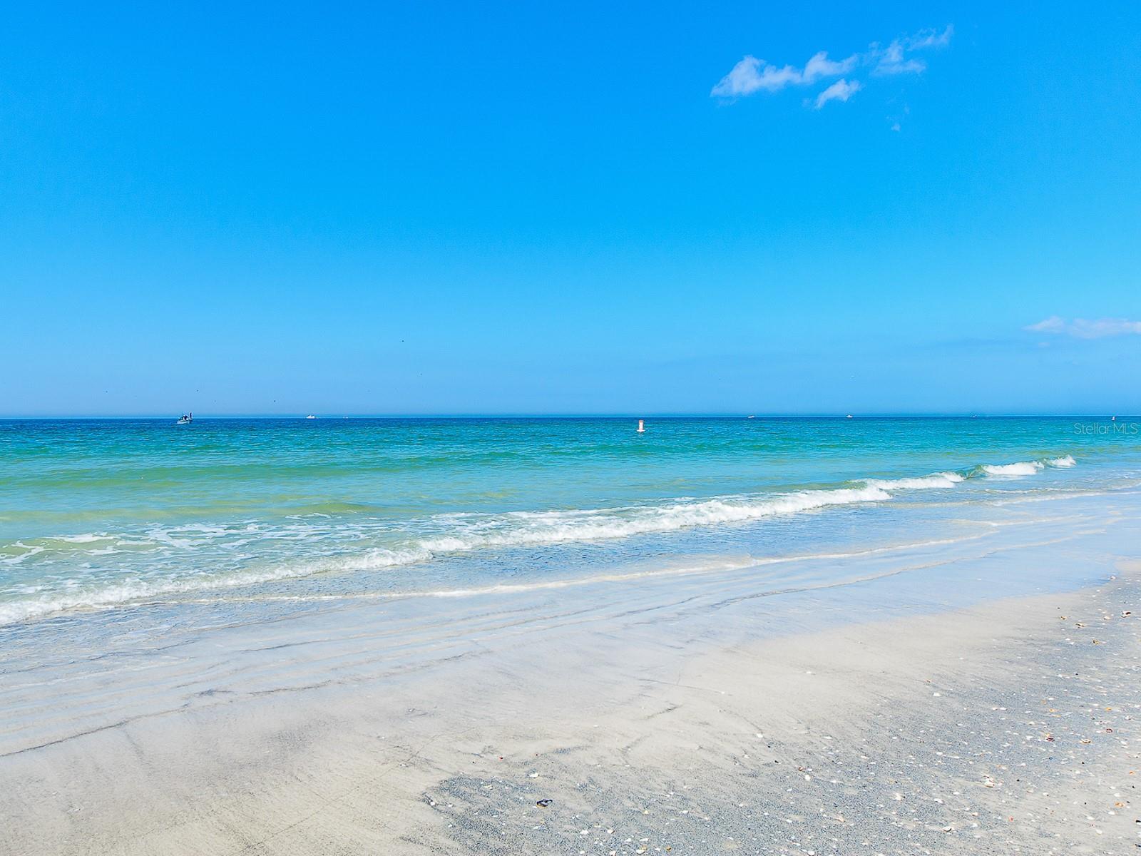 Image 41 of 43 For 1460 Gulf Boulevard 312