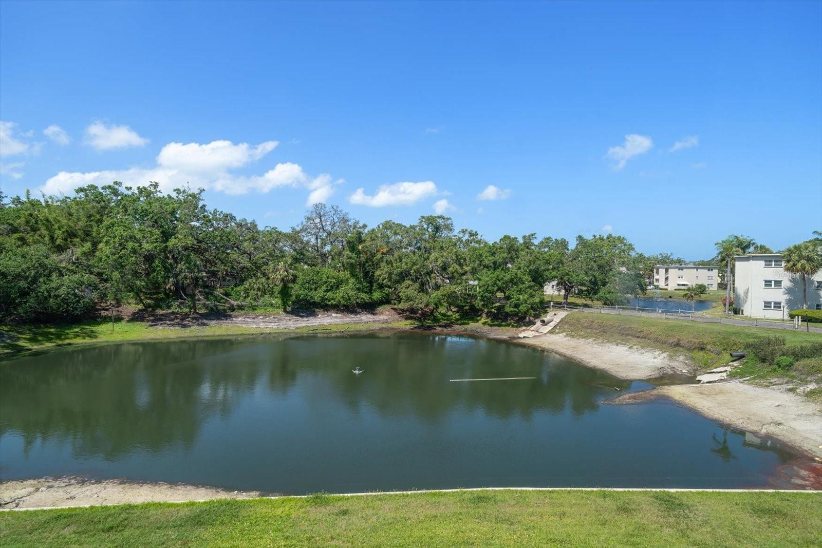 Image 14 of 46 For 948 Virginia Street 202