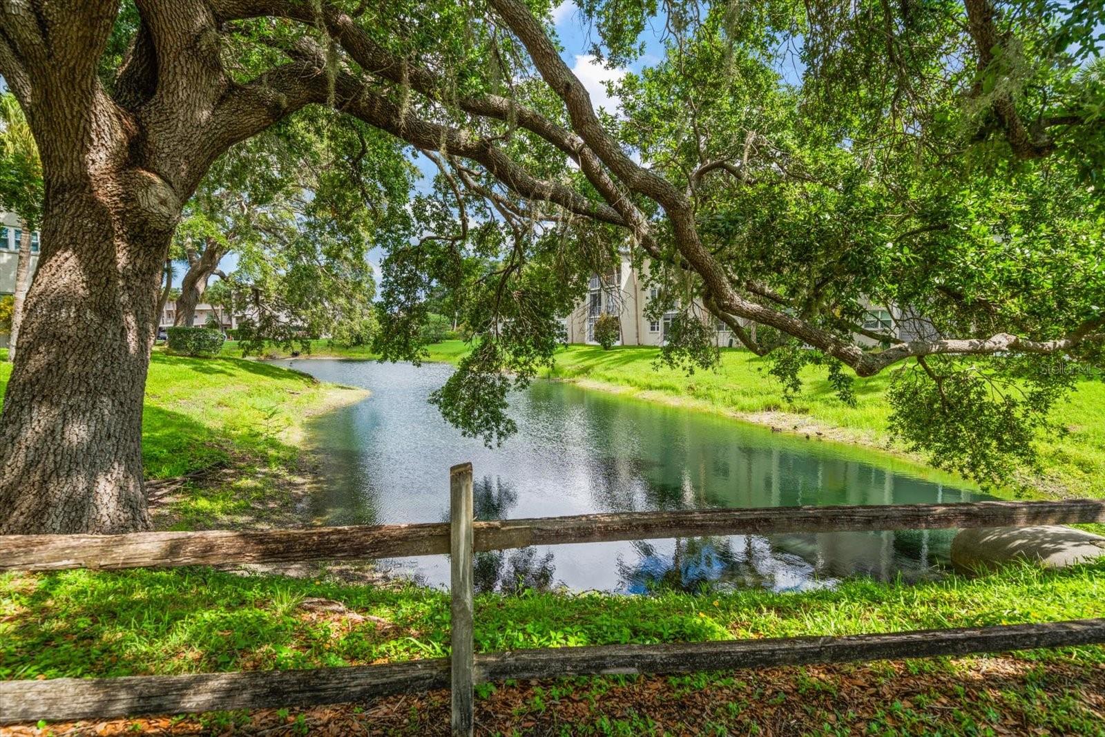 Image 42 of 46 For 948 Virginia Street 202