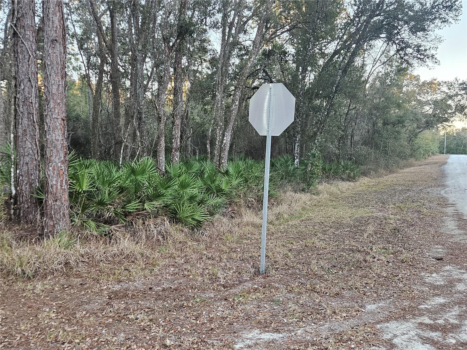 Image 4 of 11 For Rosehill Drive