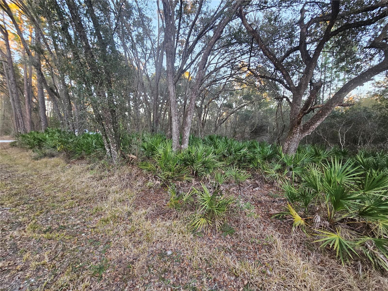 Image 5 of 11 For Rosehill Drive