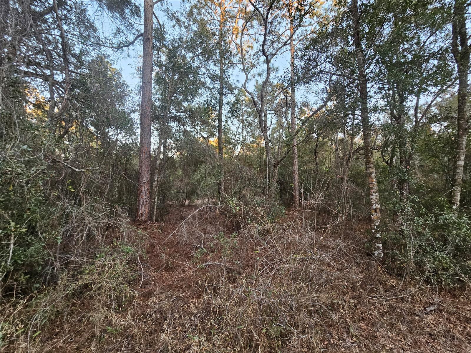 Image 6 of 11 For Rosehill Drive