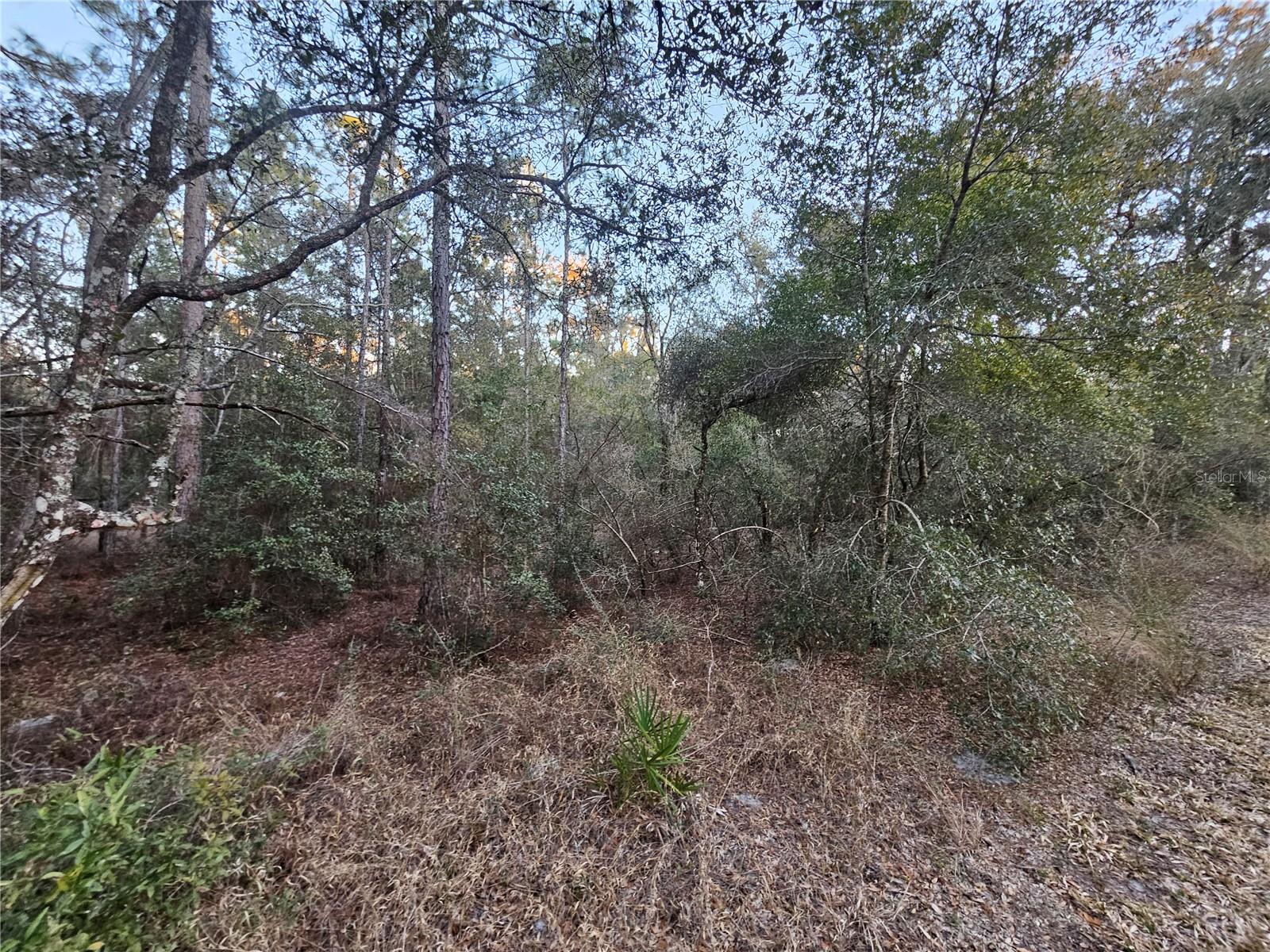 Image 7 of 11 For Rosehill Drive