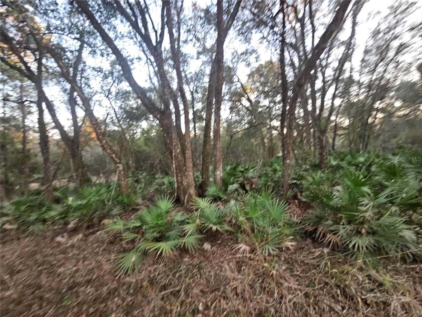 Image 9 of 11 For Rosehill Drive