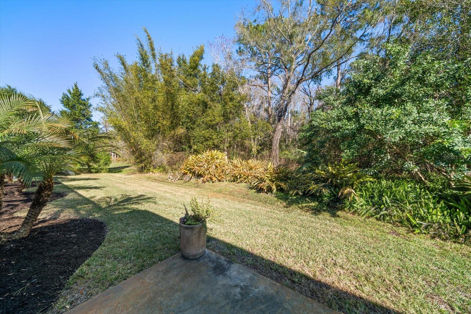 Image 63 of 66 For 103 Silver Moss Lane