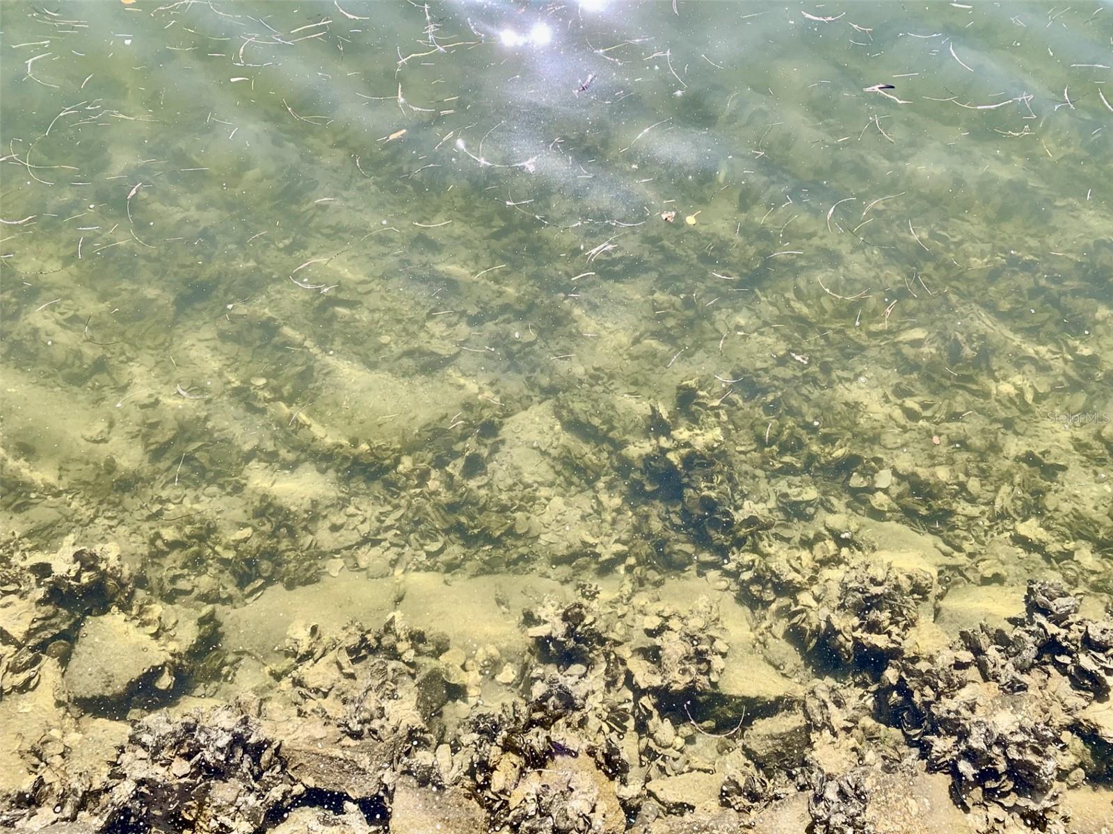 Image 35 of 54 For 4678 Marine Parkway 305