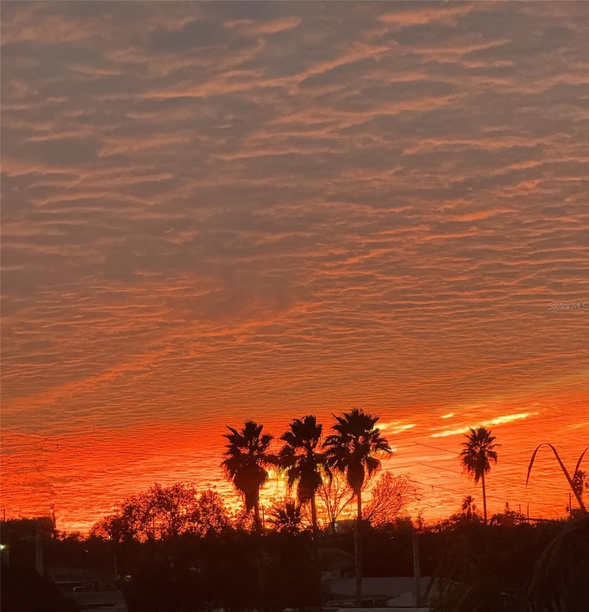 Image 36 of 54 For 4678 Marine Parkway 305