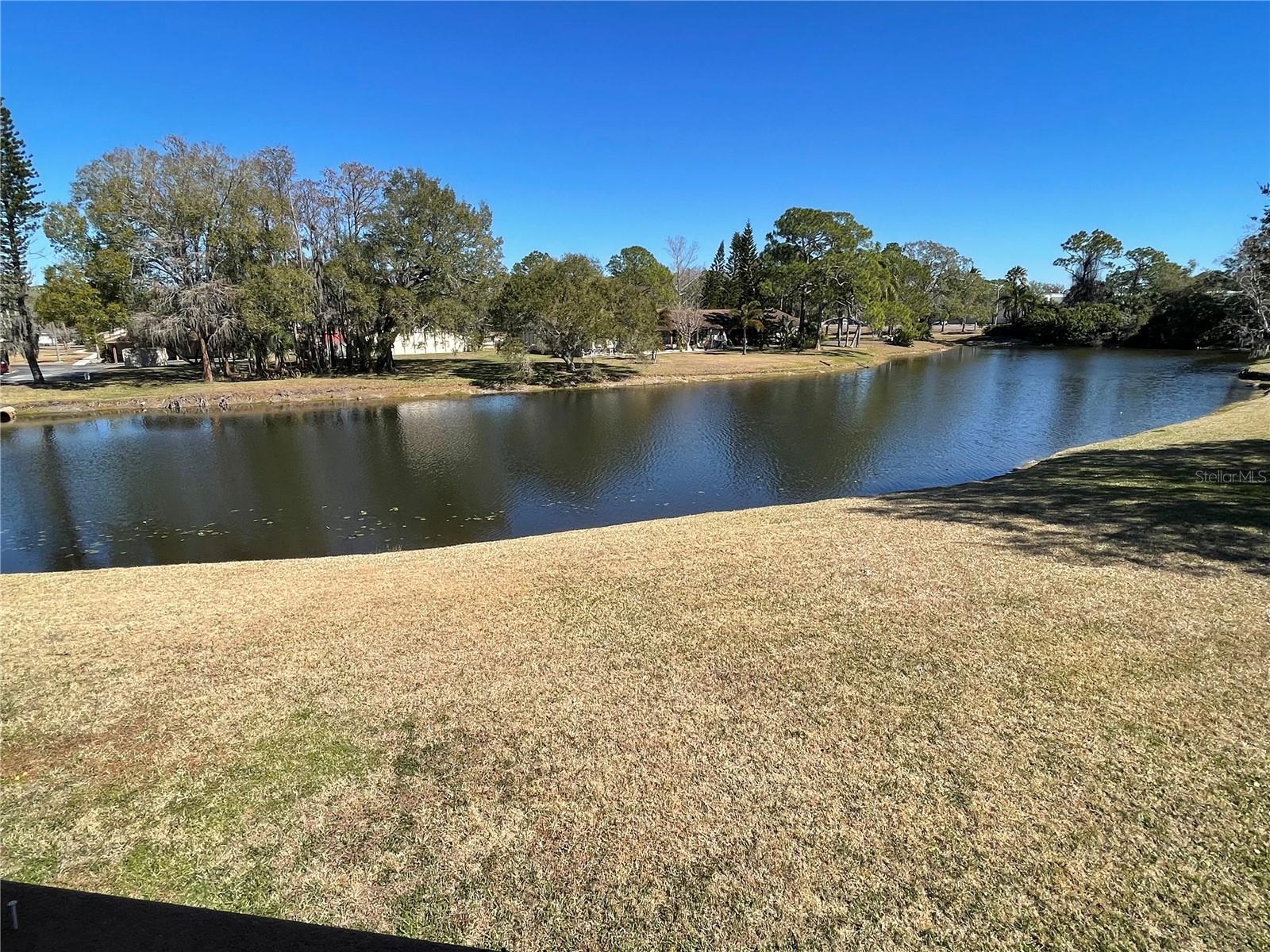 Listing photo id 38 for 129 Camphor Circle C