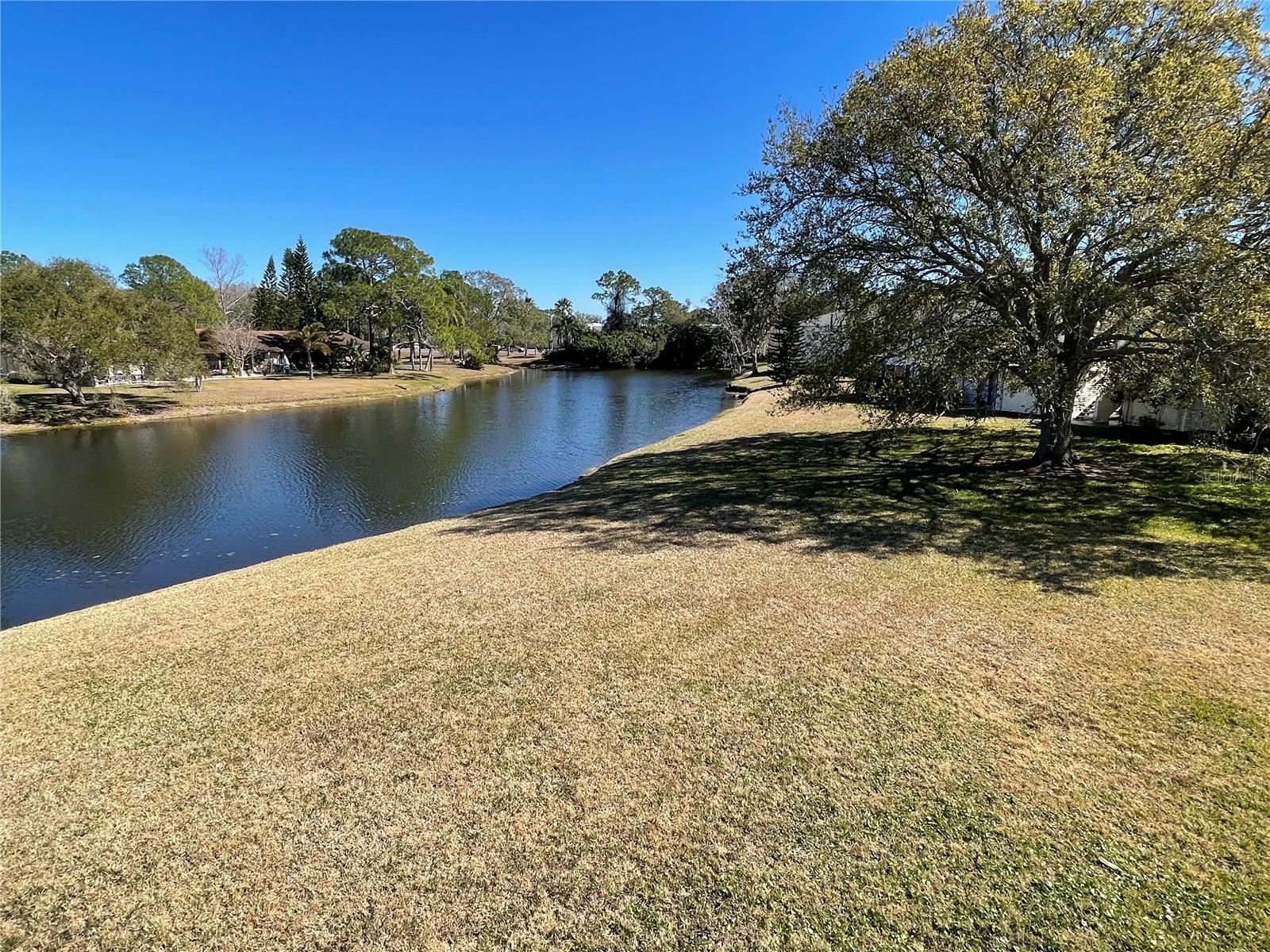 Listing photo id 39 for 129 Camphor Circle C