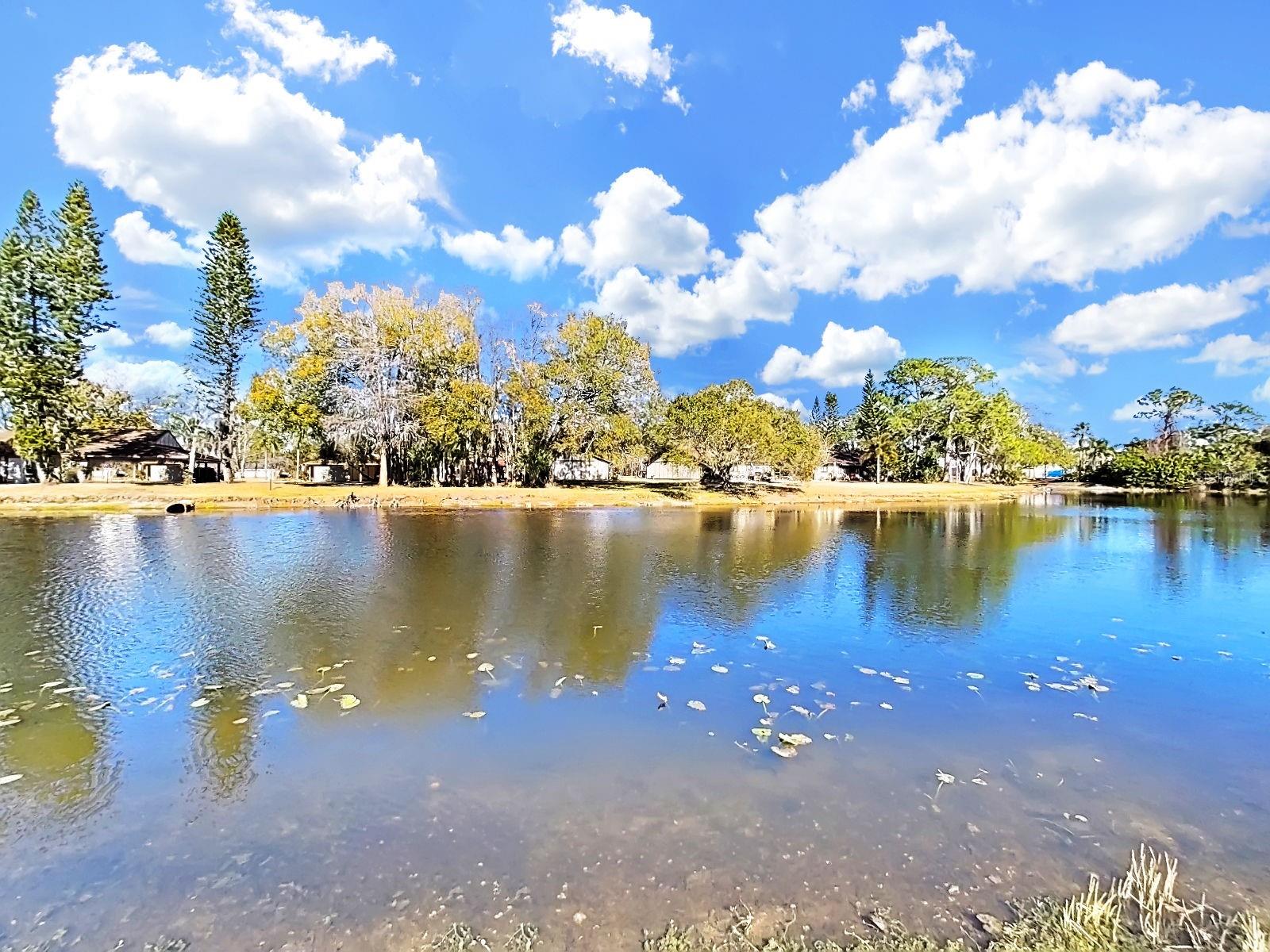 Listing photo id 40 for 129 Camphor Circle C