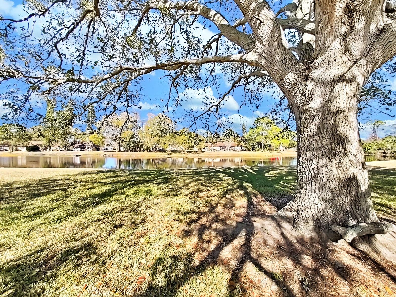 Listing photo id 41 for 129 Camphor Circle C