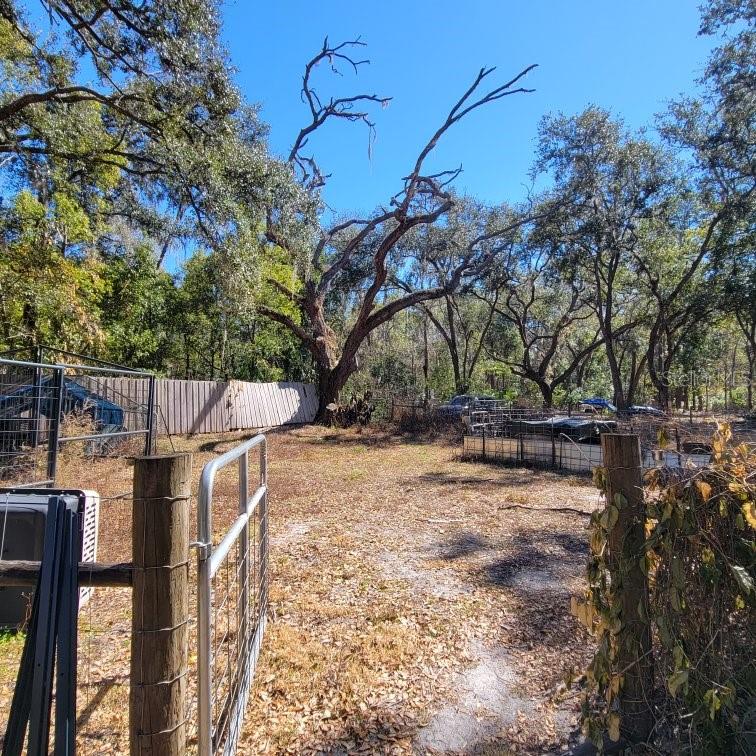 Image 5 of 67 For 28800 Walker Drive