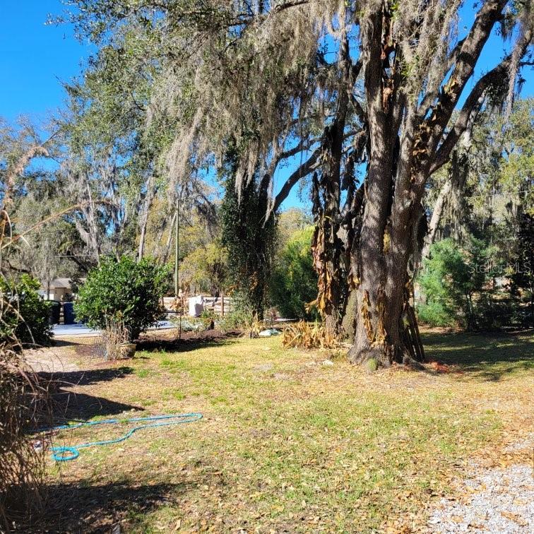 Image 63 of 67 For 28800 Walker Drive