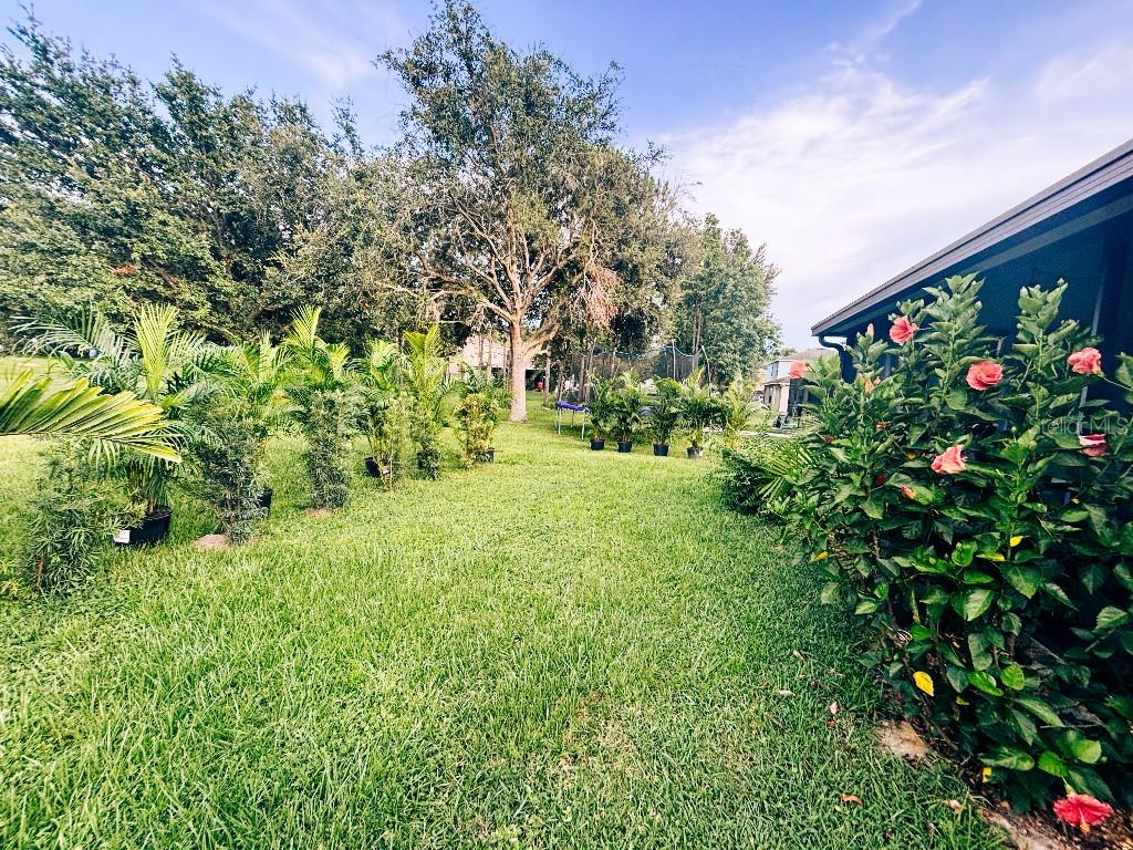 Image 10 of 36 For 4318 English Turn Way