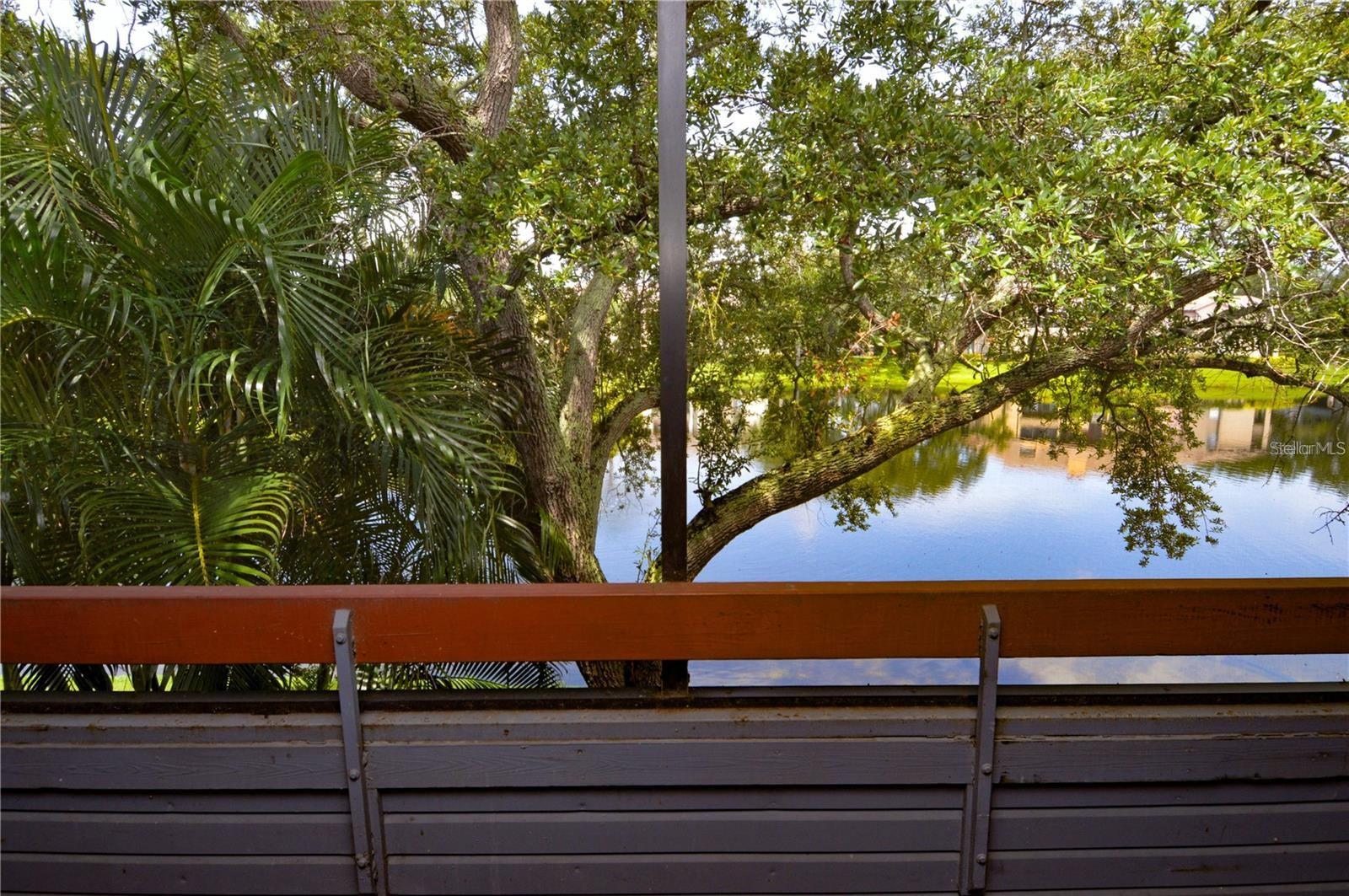 Image 54 of 100 For 10265 Gandy Boulevard N 1010