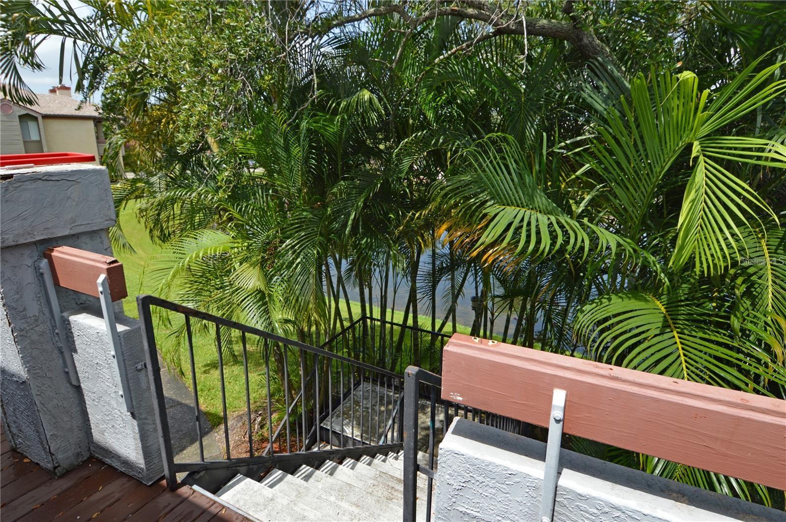 Image 56 of 100 For 10265 Gandy Boulevard N 1010