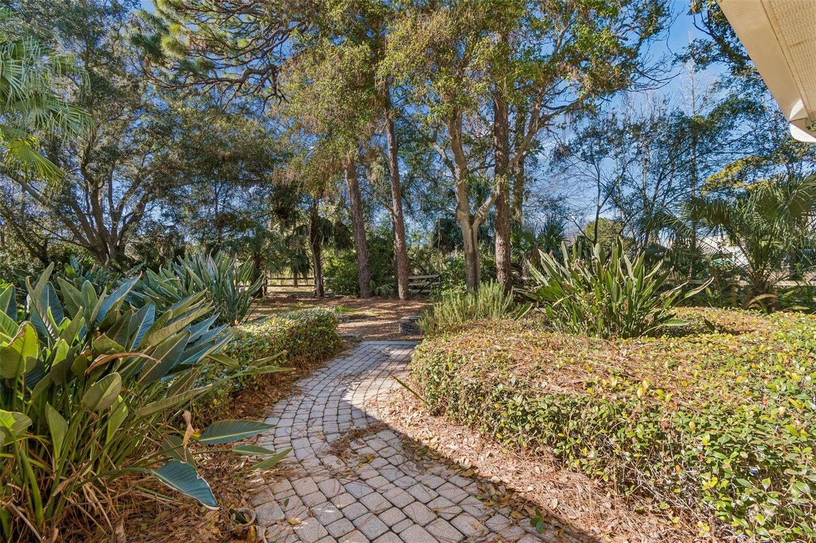 Image 91 of 95 For 1130 Anclote Rd