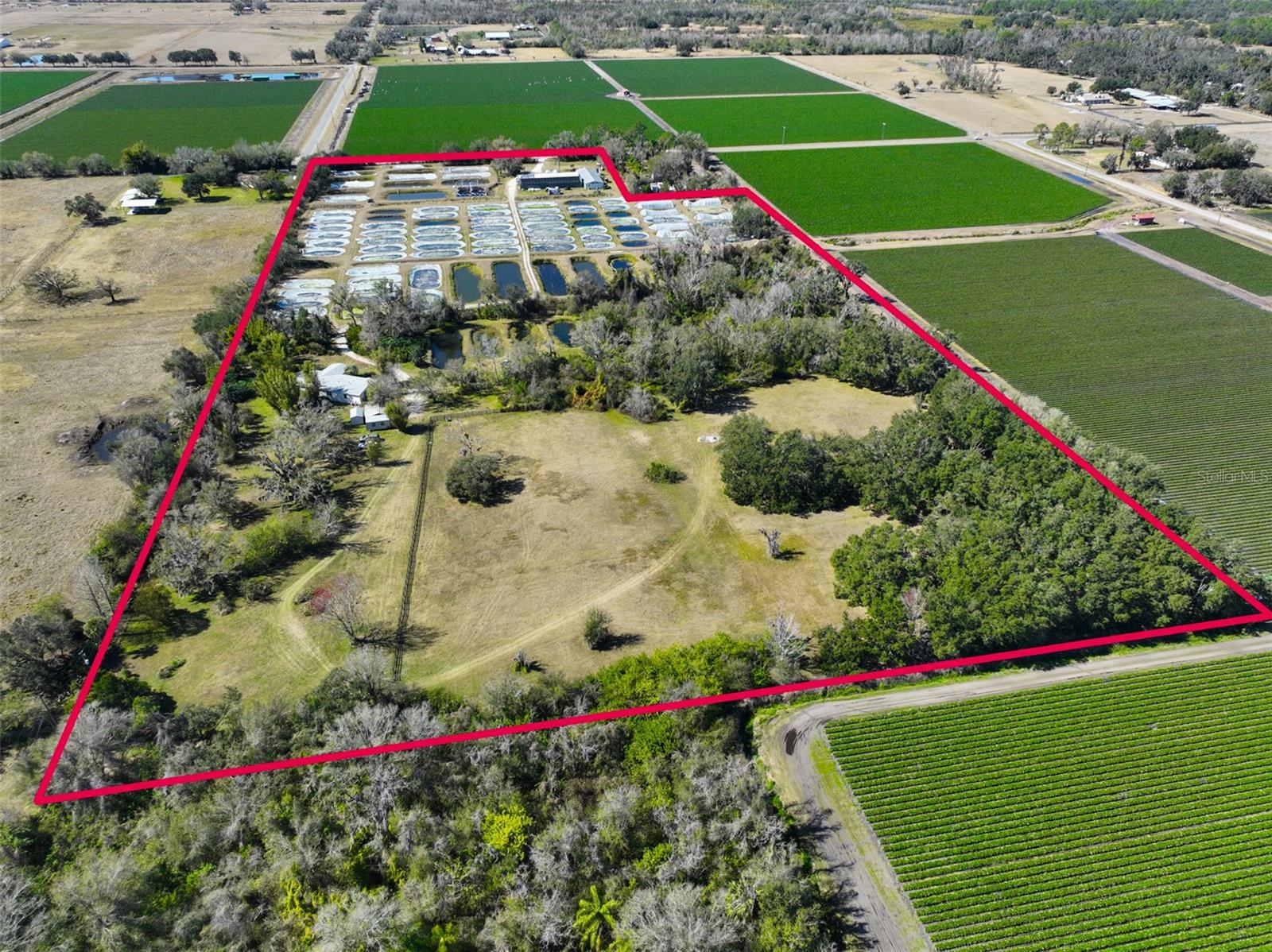 Details for 20112 Hobbs Road, WIMAUMA, FL 33598