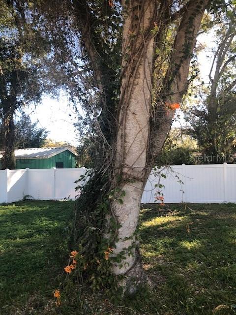 Image 18 of 21 For 1802 Comanche Avenue