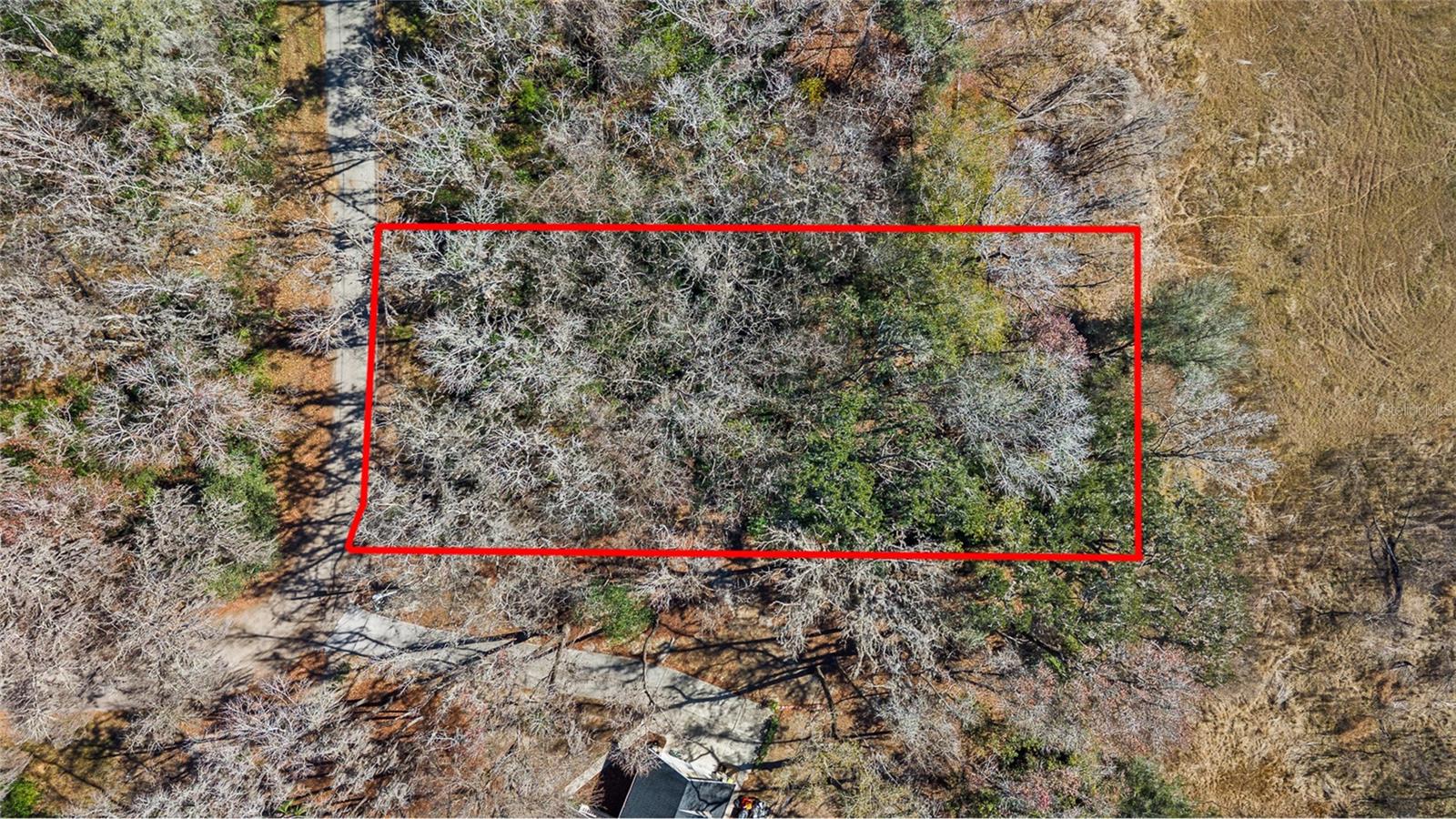 Details for 23126 Fitzhugh Avenue, BROOKSVILLE, FL 34601