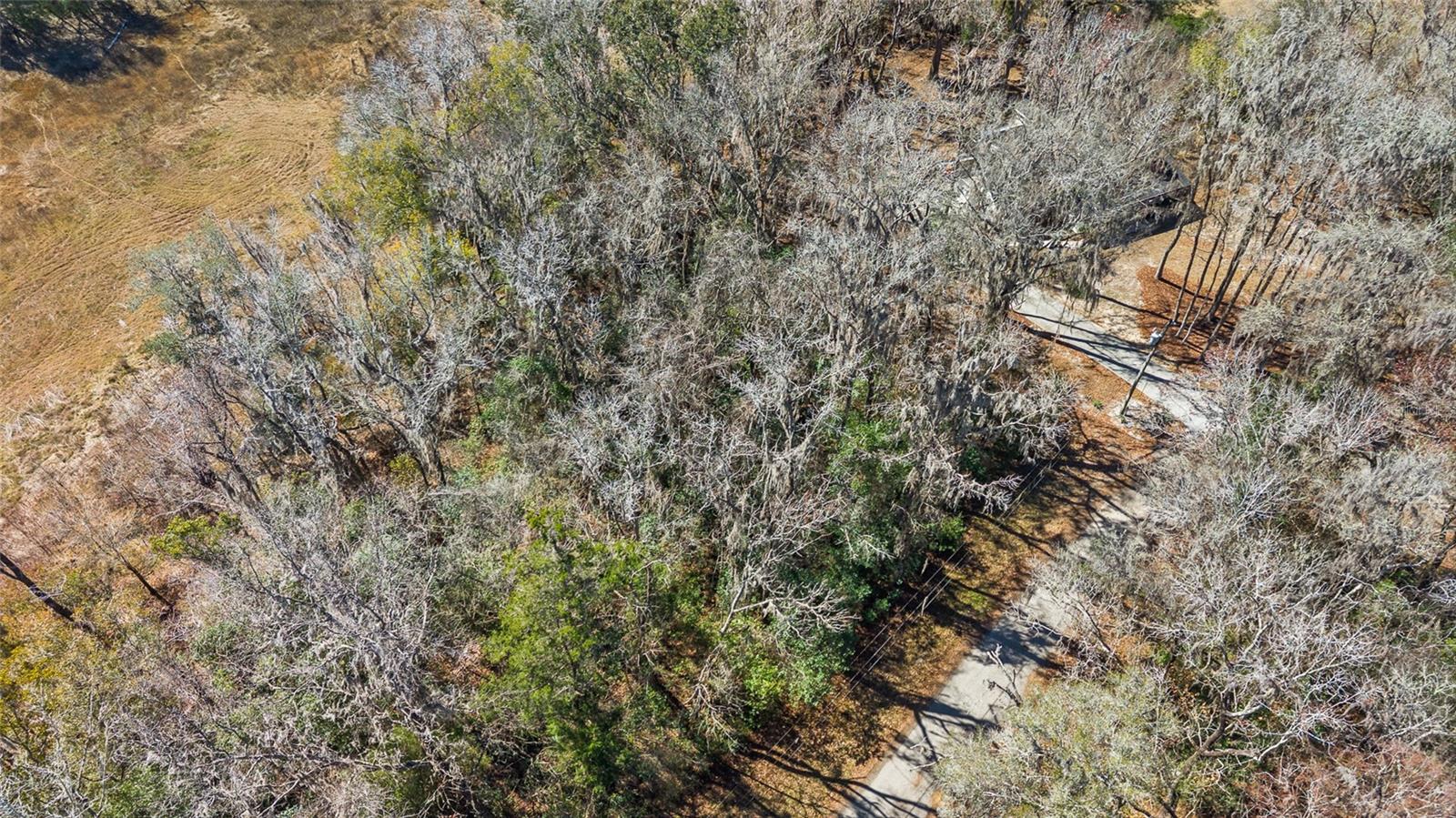 Image 6 of 12 For 23126 Fitzhugh Avenue