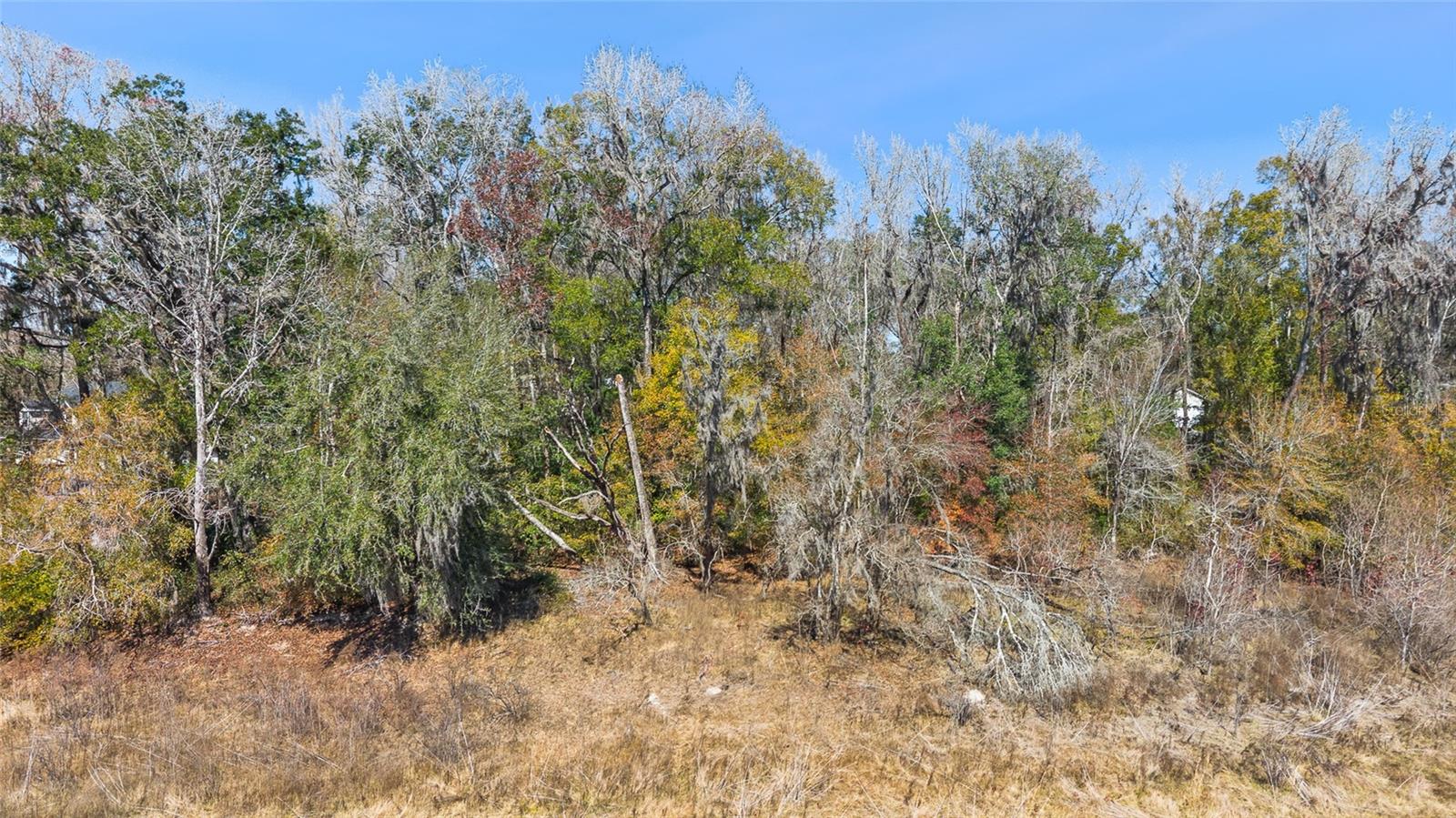 Image 7 of 12 For 23126 Fitzhugh Avenue