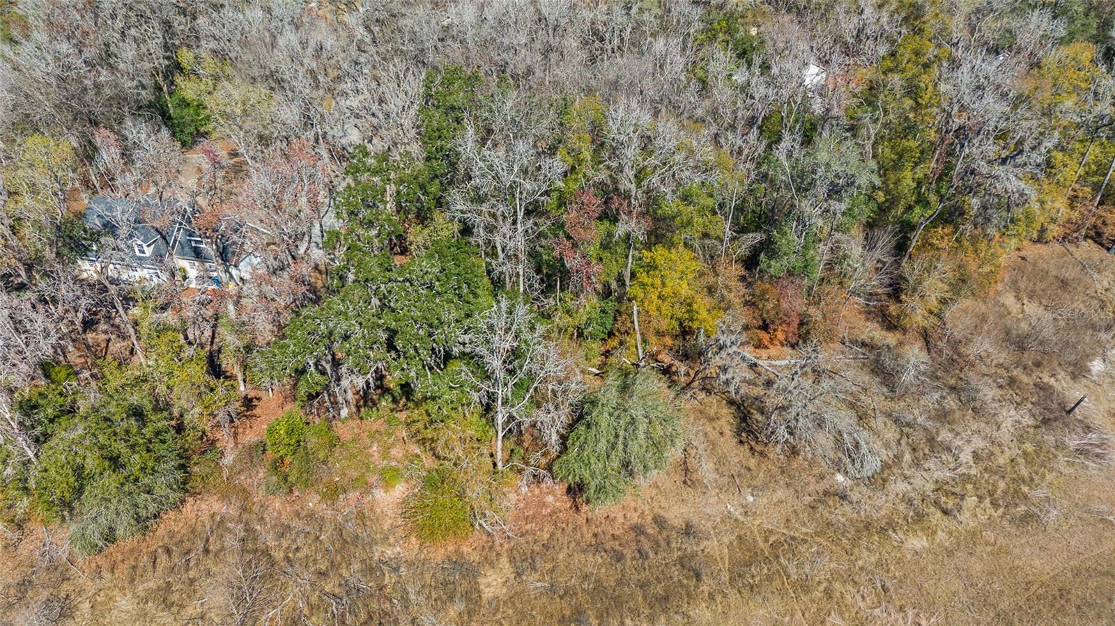 Image 8 of 12 For 23126 Fitzhugh Avenue