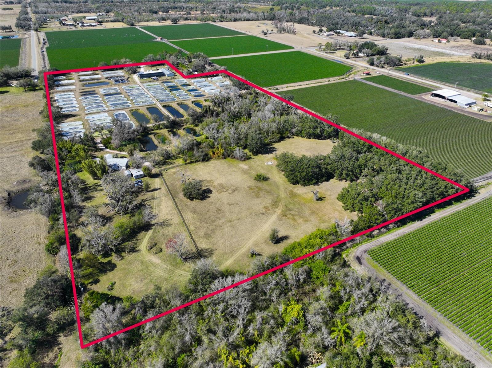 Details for 20112 Hobbs Road, WIMAUMA, FL 33598