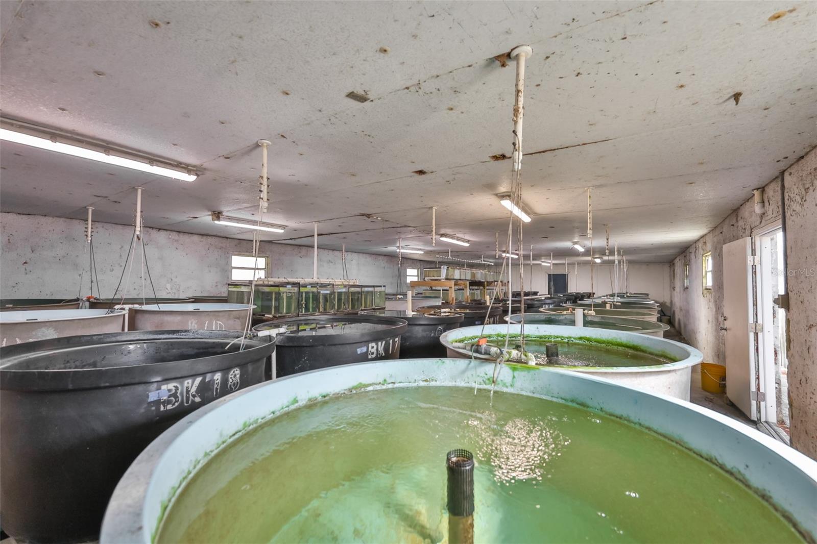 Image 80 of 97 For 20112 Hobbs Road