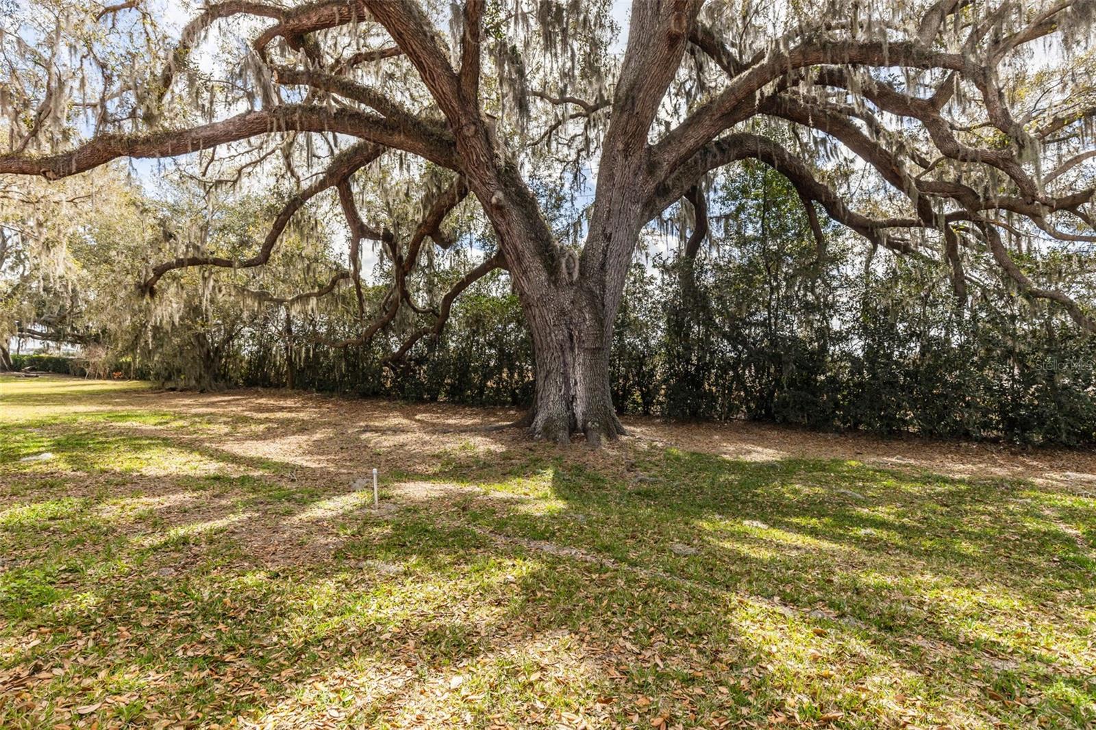 Listing photo id 39 for 32834 Estate Garden Drive