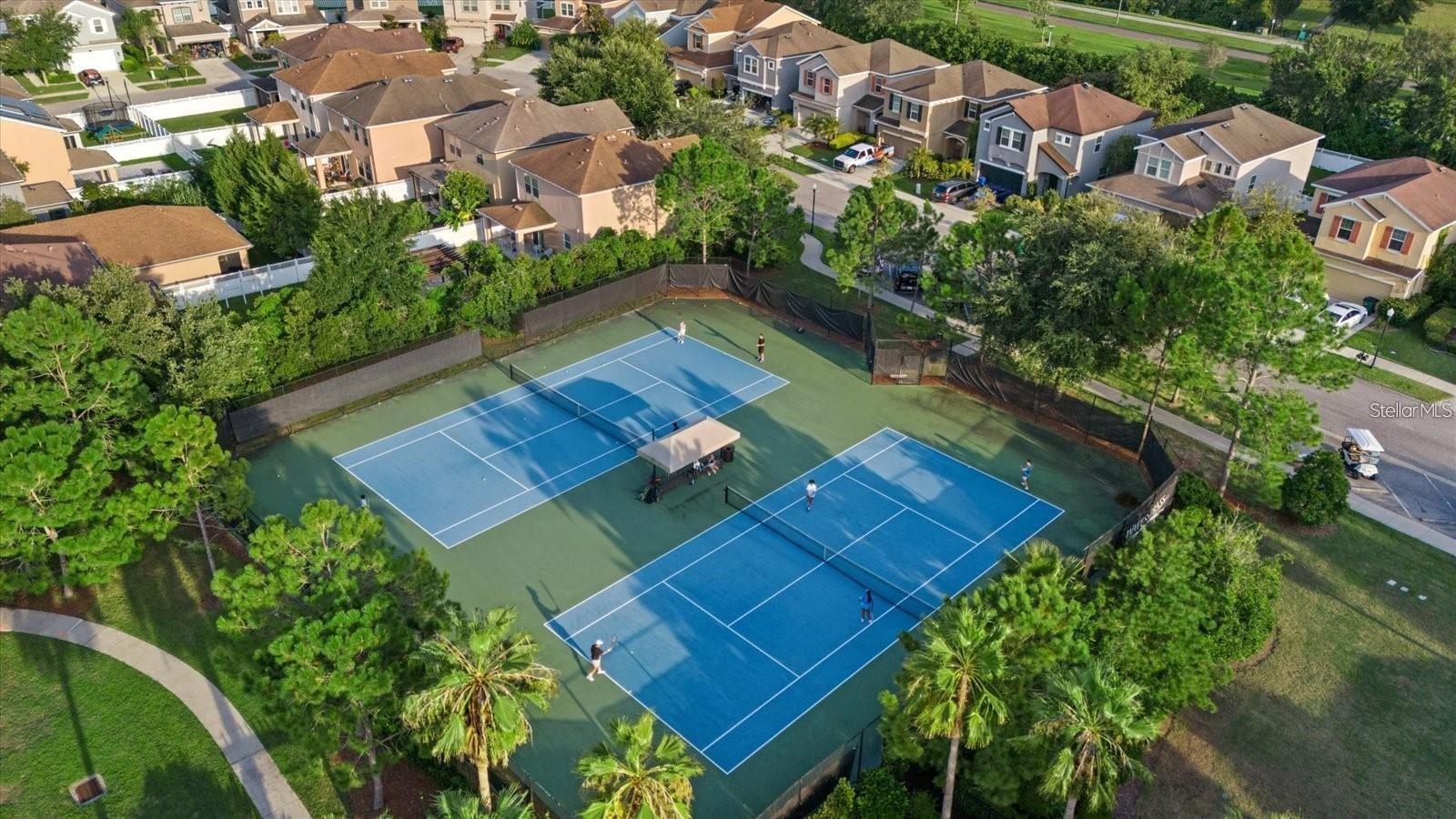 Listing photo id 58 for 32834 Estate Garden Drive