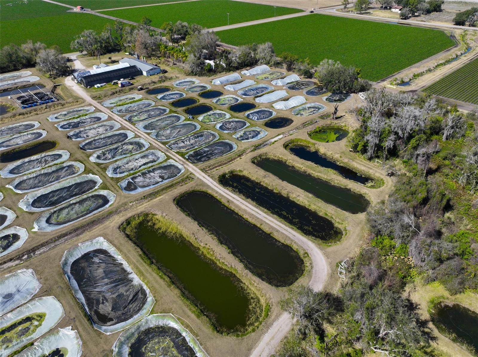 Image 17 of 100 For 20112 Hobbs Road