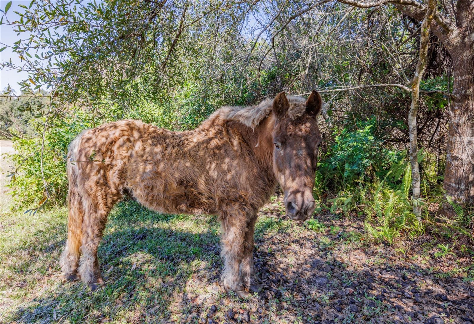 Image 52 of 100 For 20112 Hobbs Road