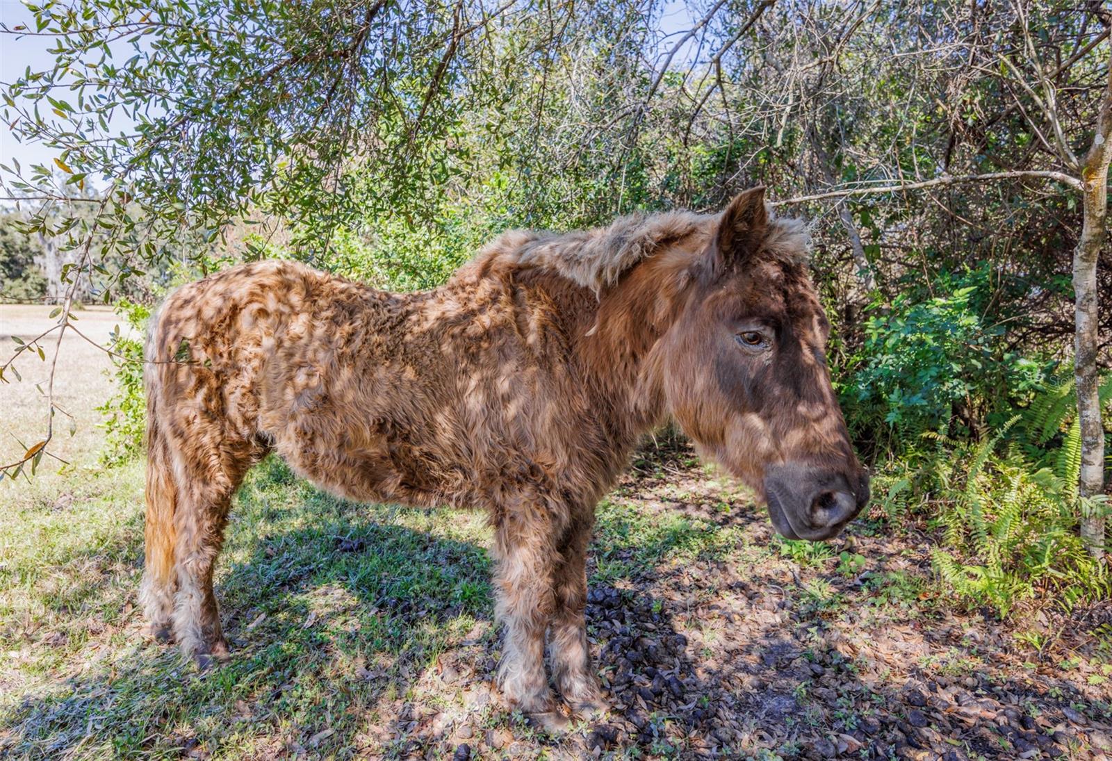 Image 53 of 100 For 20112 Hobbs Road