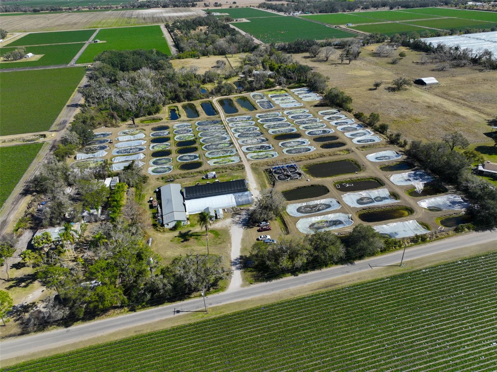 Image 6 of 100 For 20112 Hobbs Road