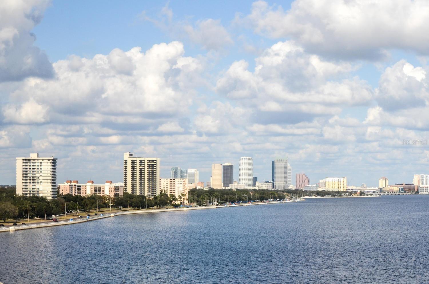 Image 21 of 21 For 3301 Bayshore Boulevard 505c