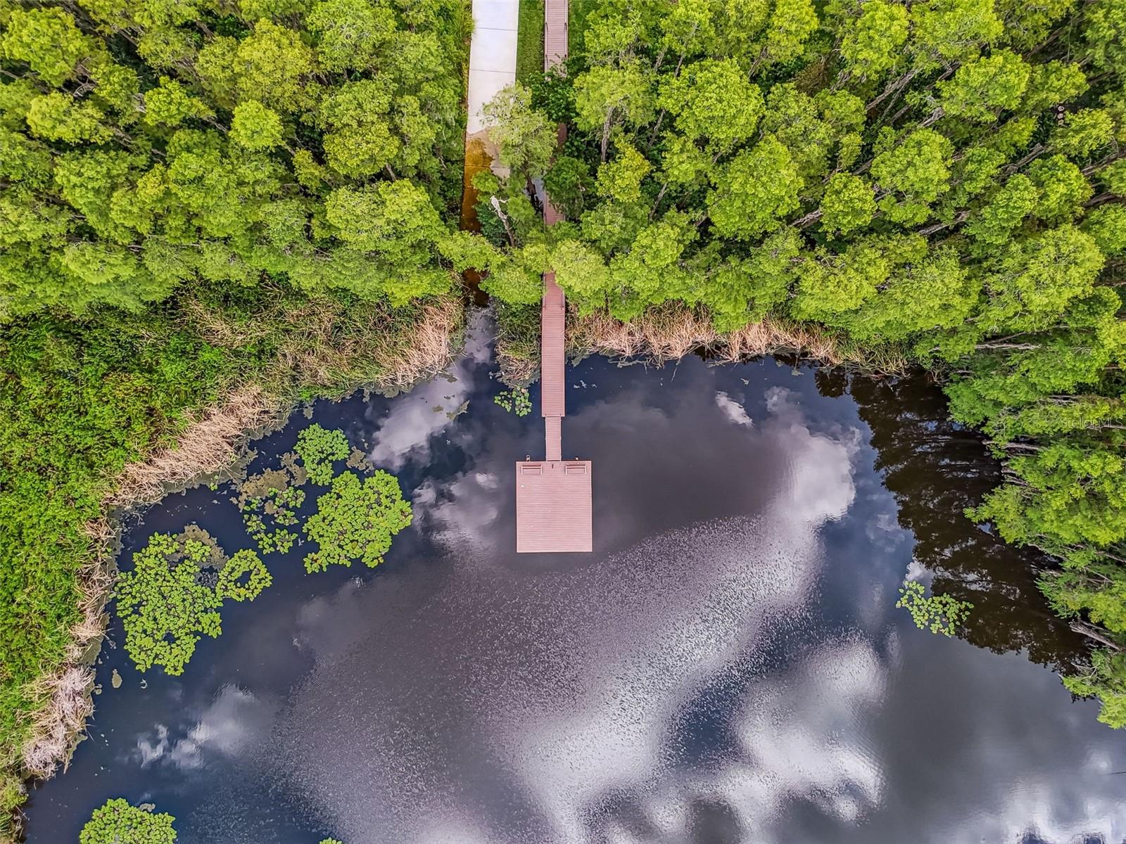 Image 56 of 65 For 1745 Heron Cove Drive