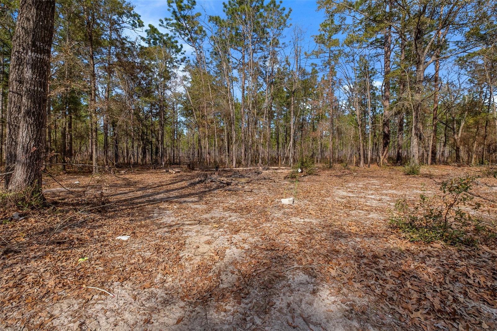 Image 28 of 29 For 976 Hassell Drive