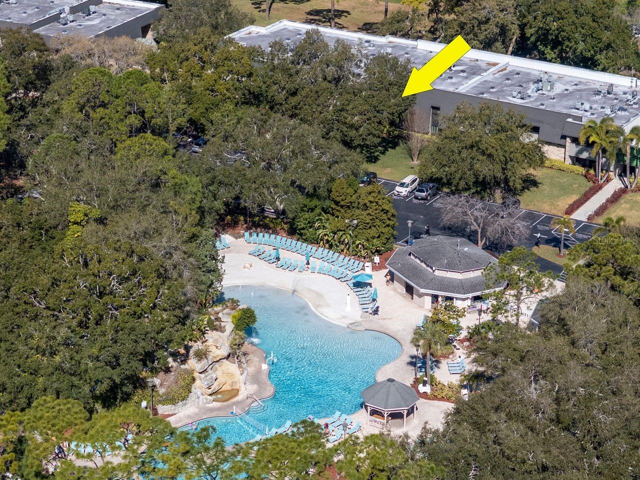 Listing photo id 16 for 36750 Us Highway 19 N 7-110