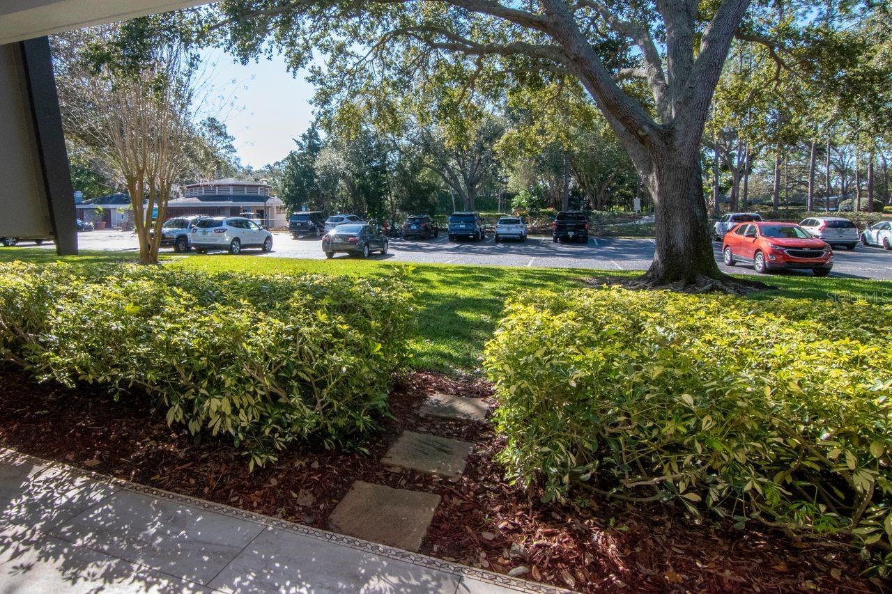 Listing photo id 53 for 36750 Us Highway 19 N 7-110