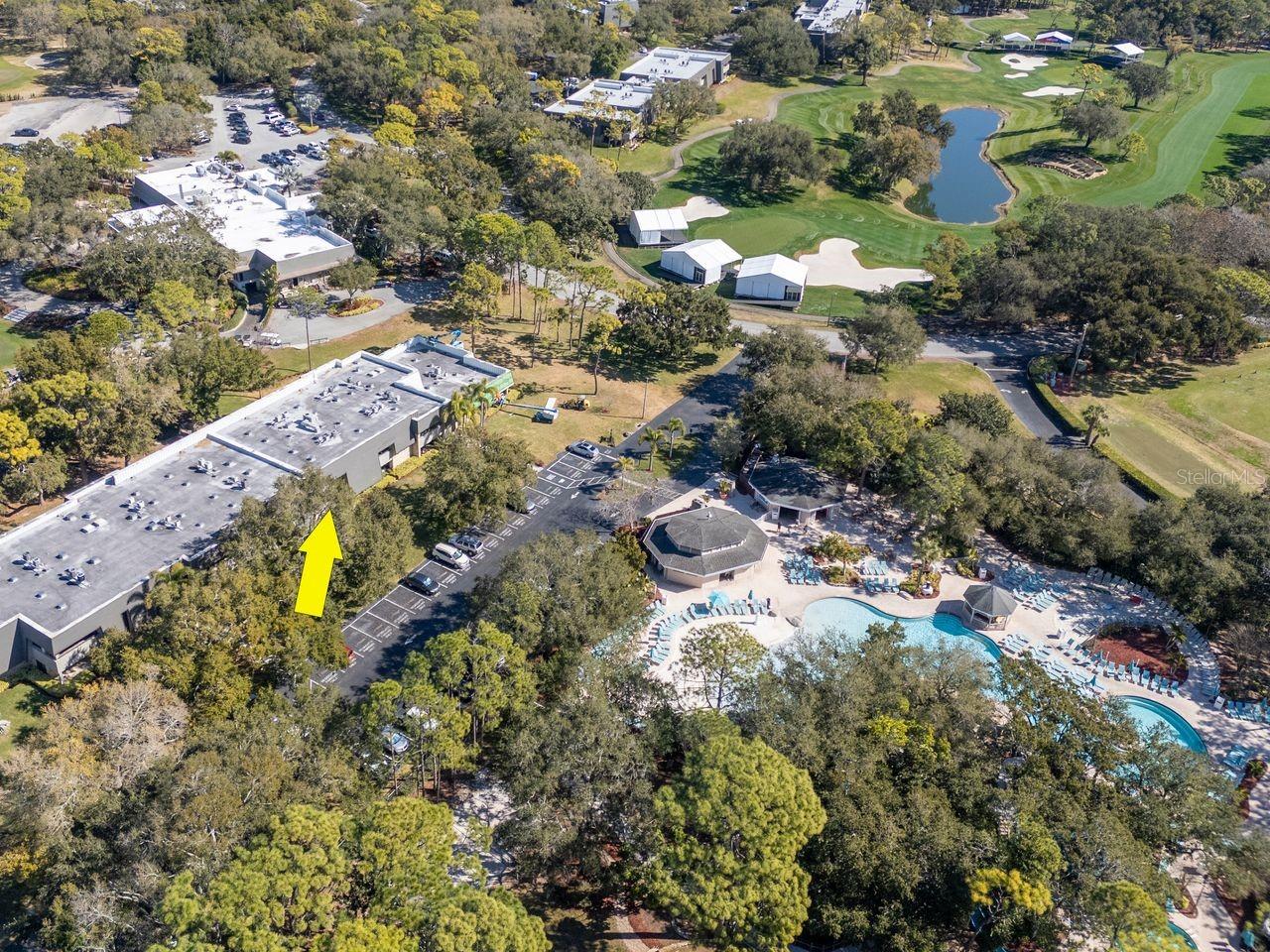 Listing photo id 66 for 36750 Us Highway 19 N 7-110