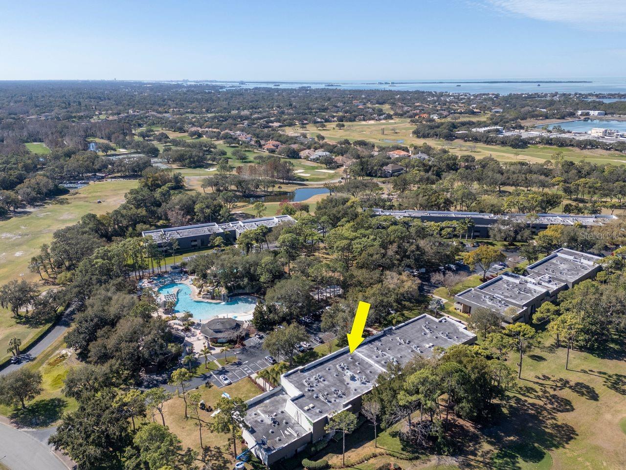 Listing photo id 68 for 36750 Us Highway 19 N 7-110