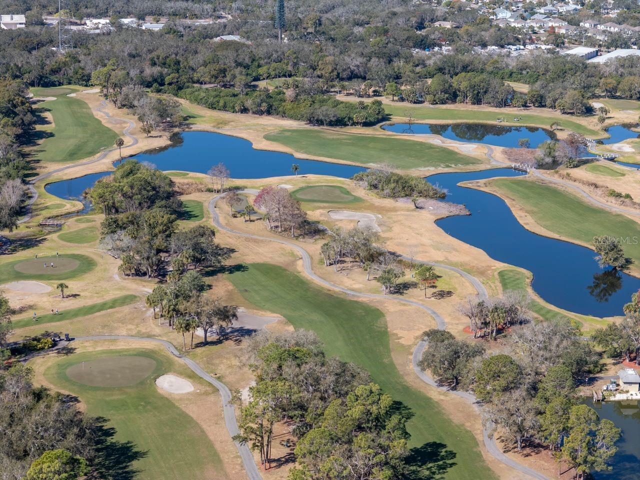 Listing photo id 73 for 36750 Us Highway 19 N 7-110