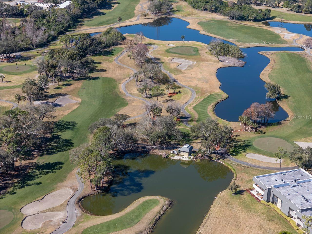 Listing photo id 74 for 36750 Us Highway 19 N 7-110