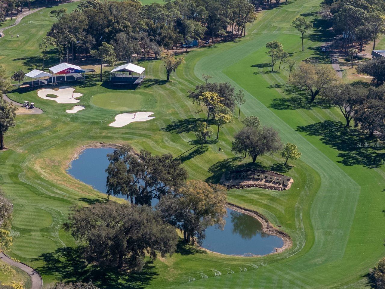 Listing photo id 75 for 36750 Us Highway 19 N 7-110