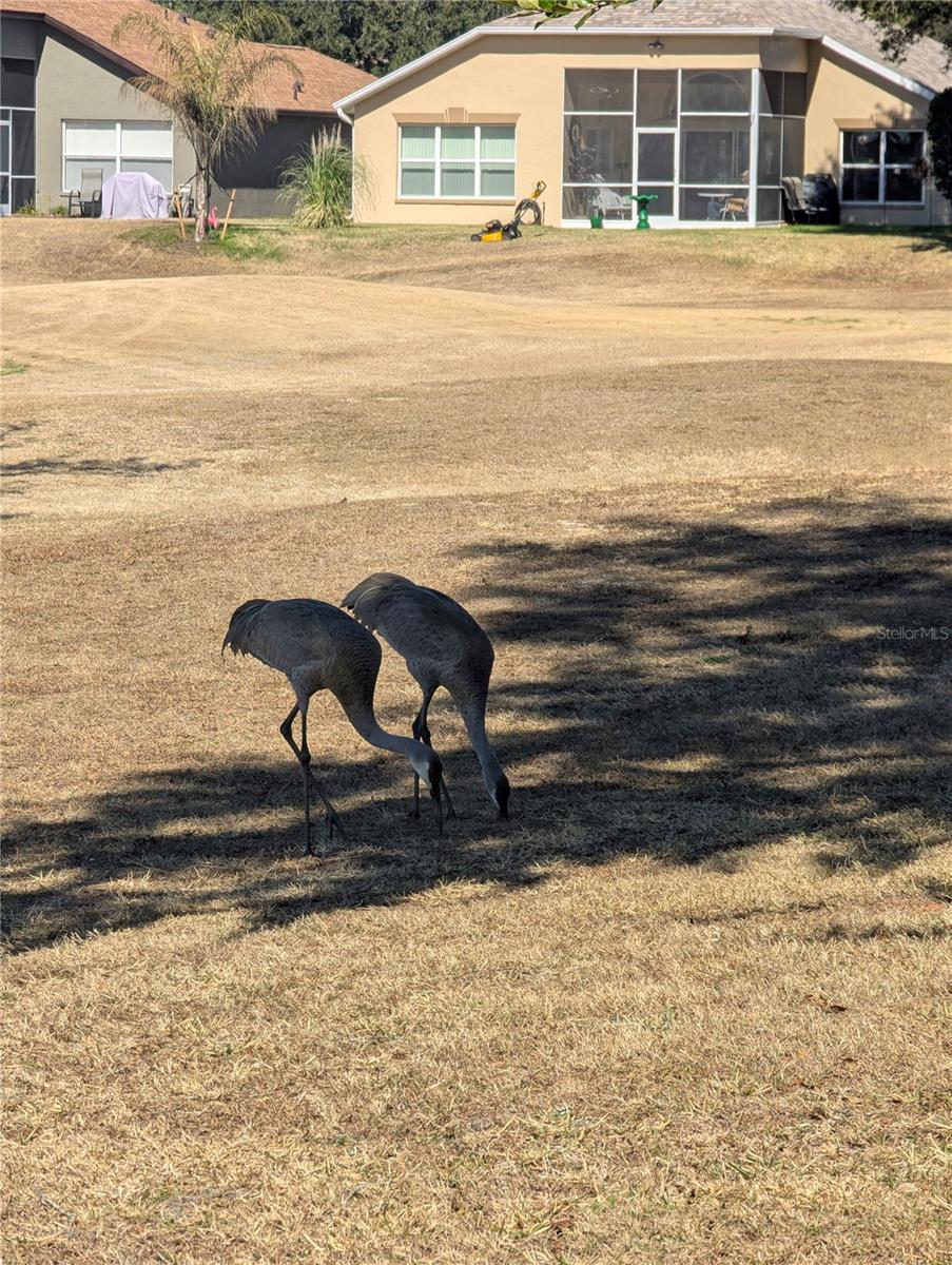 Image 35 of 41 For Address Not Provided