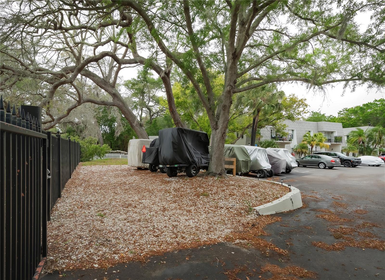 Image 31 of 32 For 704 Lyndhurst Street 603