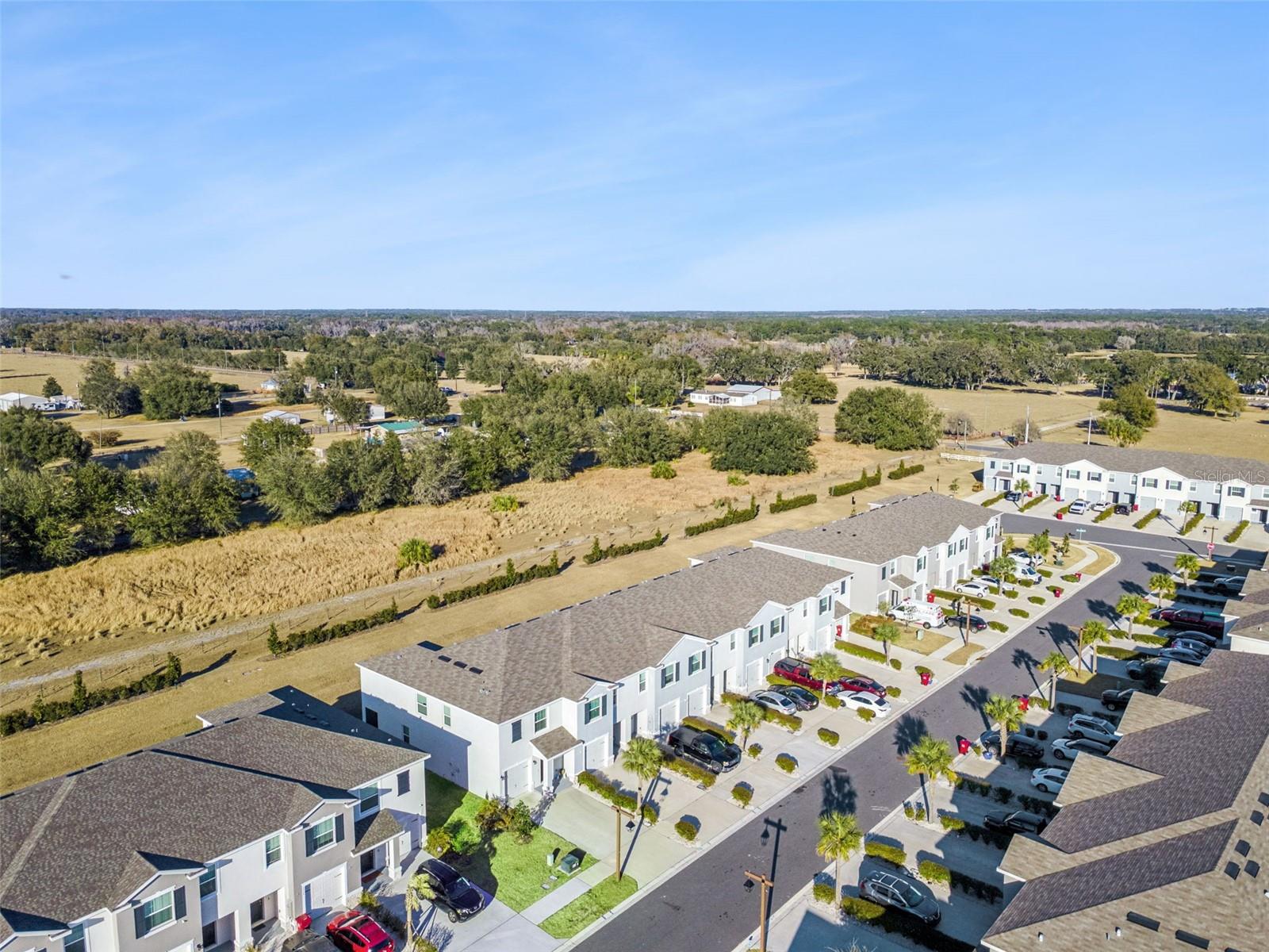 Listing photo id 39 for 3522 Marigold Patch Court