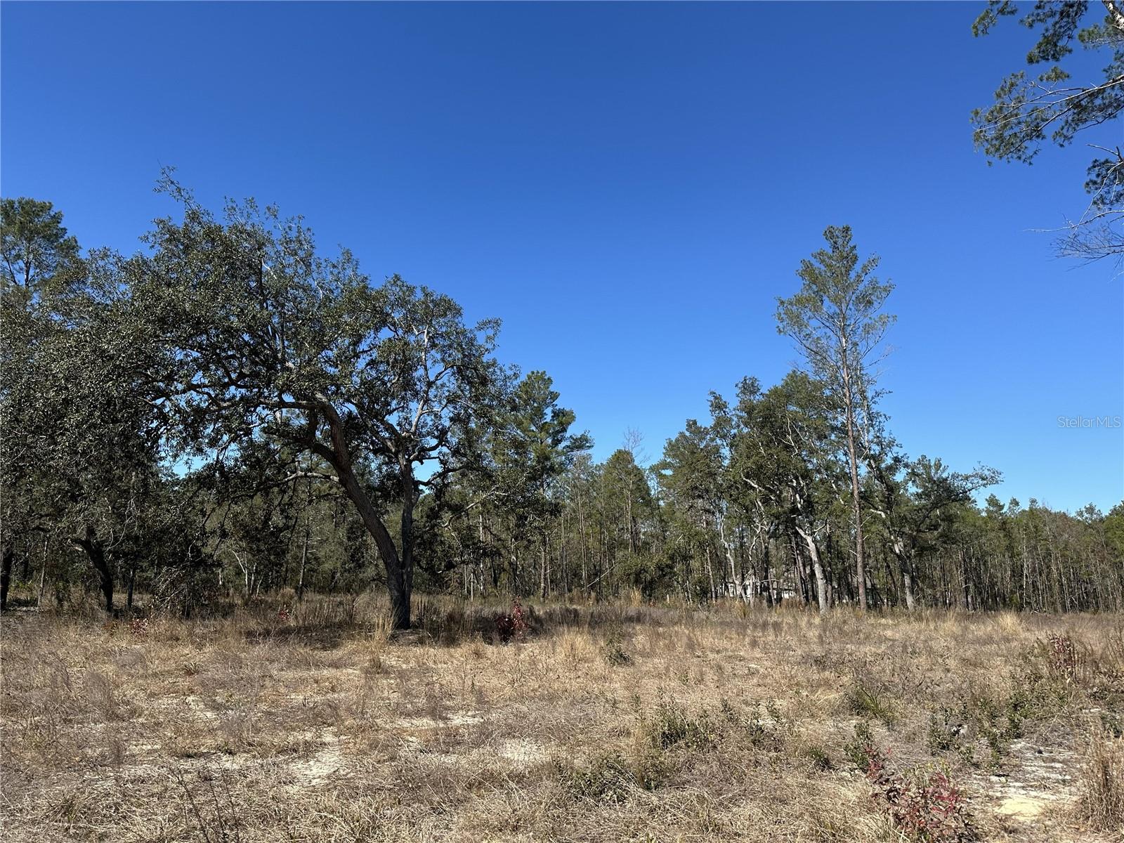 Image 3 of 6 For 13183 Haven Trail